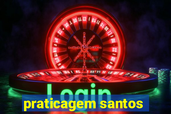 praticagem santos